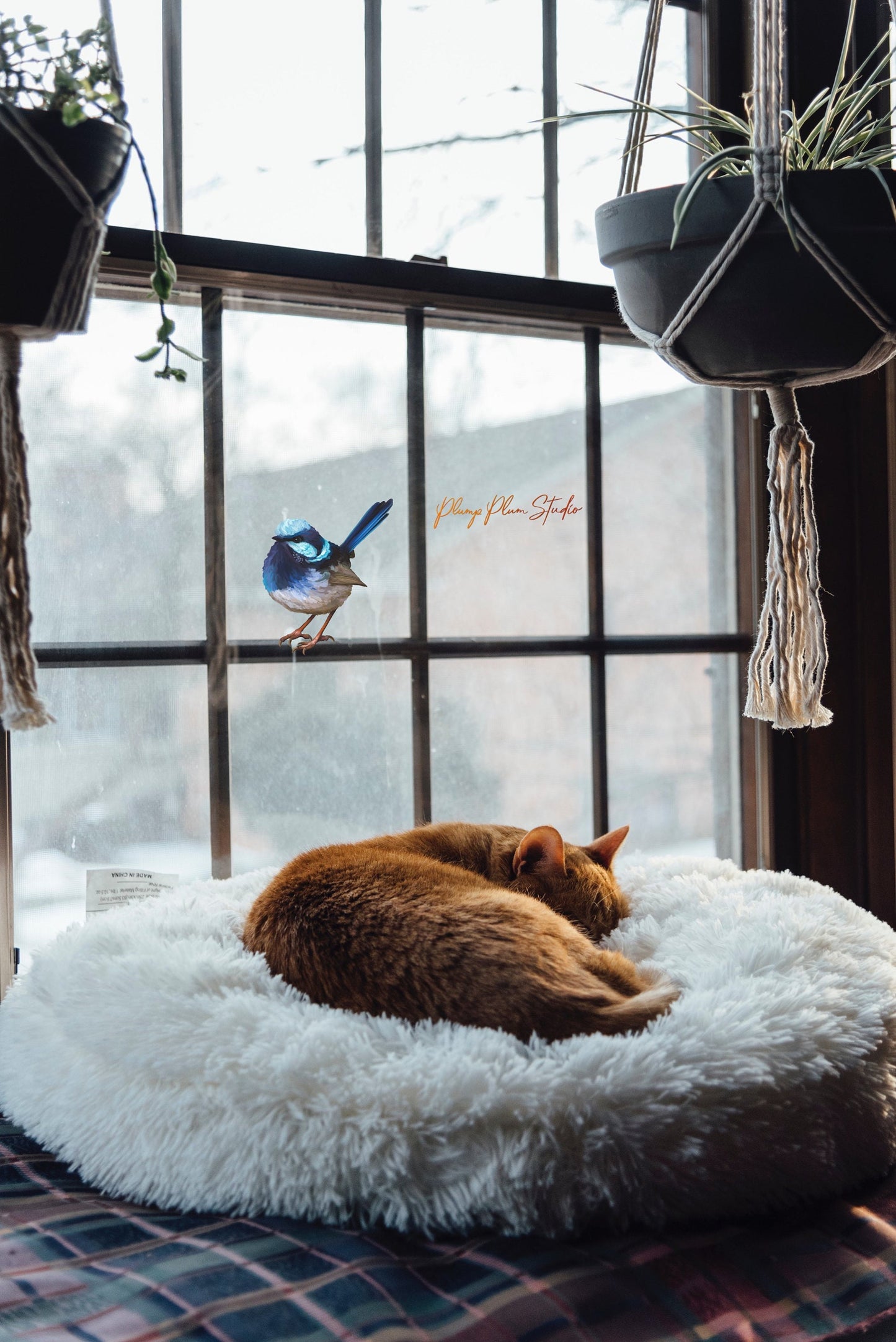 Water-resistant Blue Fairy Wren vinyl decal on a window, showing fade-resistant hand-illustrated detail.