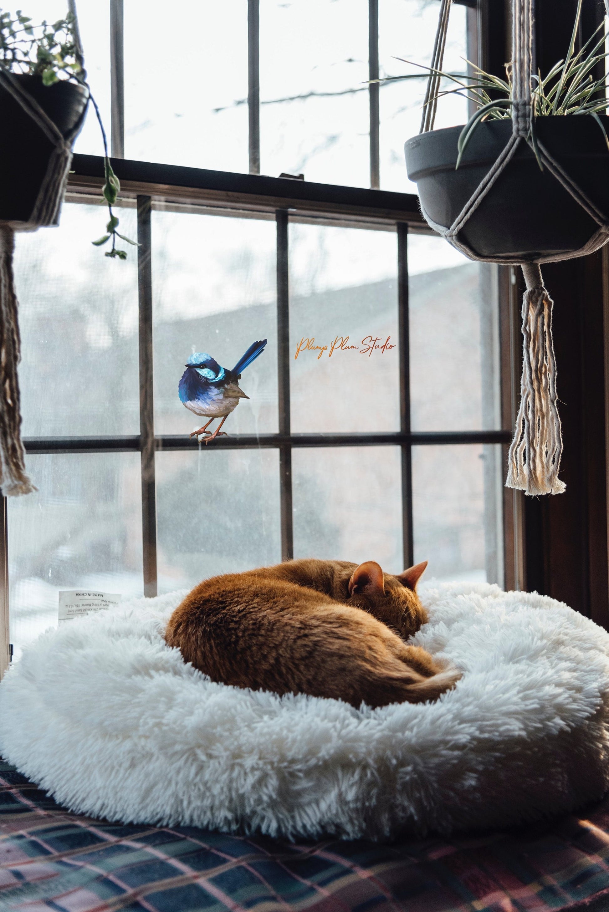 Water-resistant Blue Fairy Wren vinyl decal on a window, showing fade-resistant hand-illustrated detail.