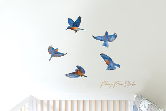 Set of Blue bird decals (bundle of 5), realistic blue bird wall stickers, indoor/outdoor repositionable luxury textured vinyl, car decals