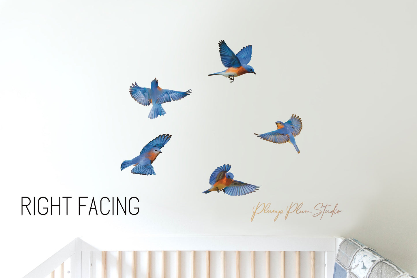 Set of Blue bird decals (bundle of 5), realistic blue bird wall stickers, indoor/outdoor repositionable luxury textured vinyl, car decals