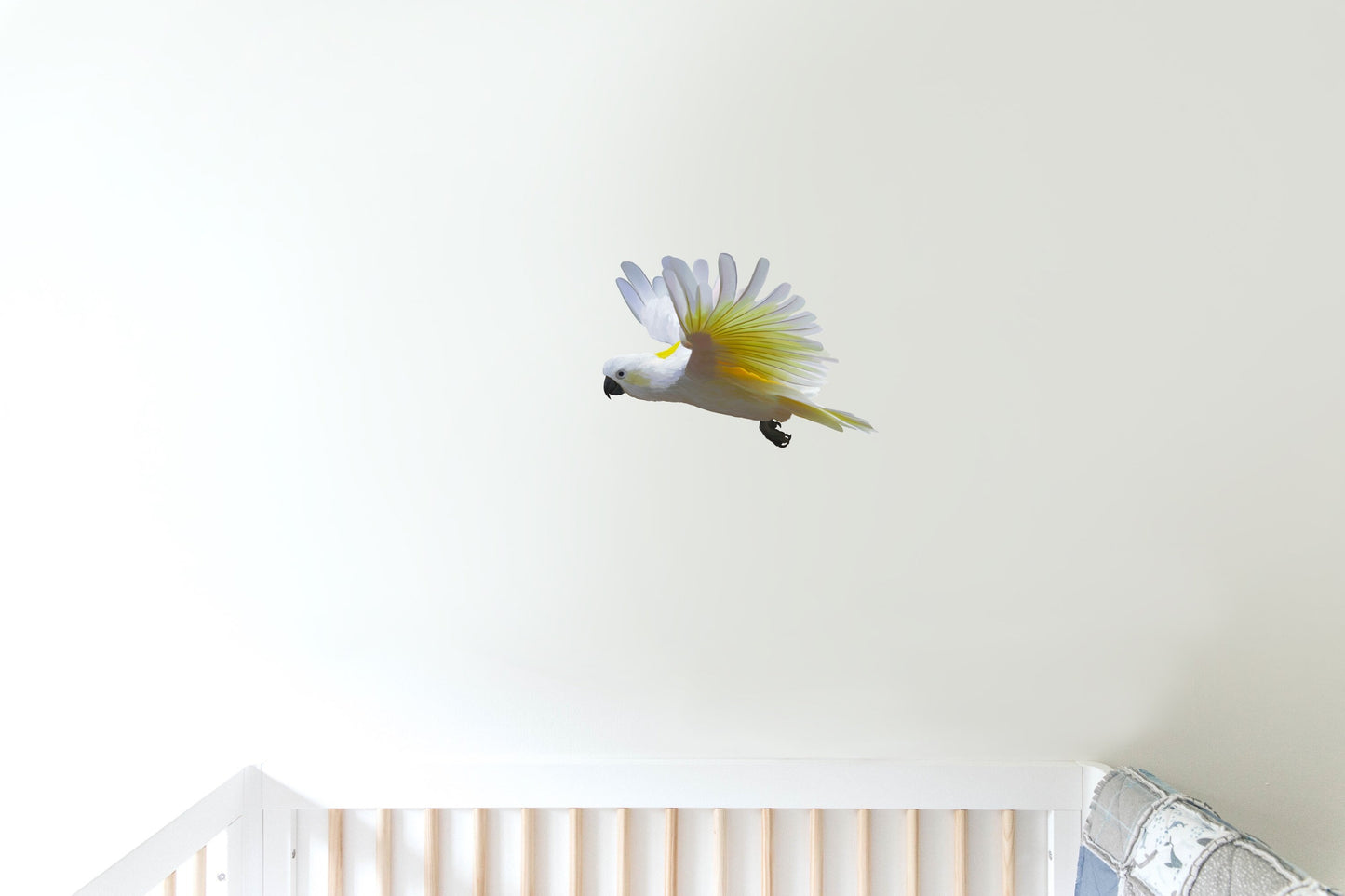 Cockatoo decal, flying cockatoo, Australian themed decor, Yellow crested cockatoo, peel/stick, repositionable vinyl wall decal, car decal