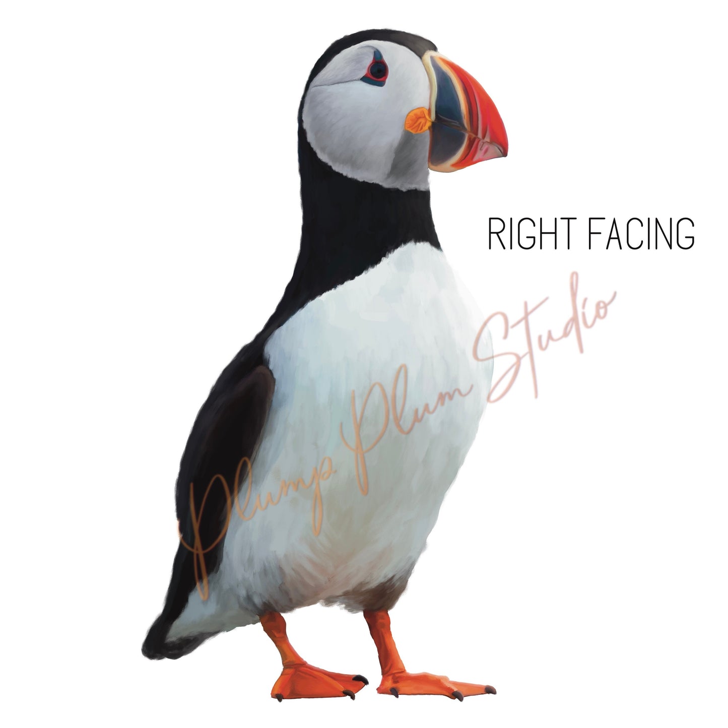 Puffin decal, Atlantic puffin sticker, vinyl car decal, wall decal, nursery decor, peel/stick repositionable, fabric texture vinyl decal