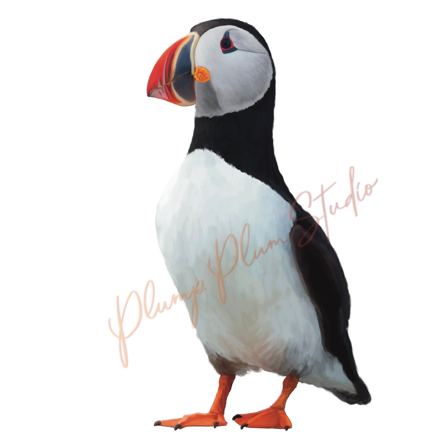 Puffin decal, Atlantic puffin sticker, vinyl car decal, wall decal, nursery decor, peel/stick repositionable, fabric texture vinyl decal