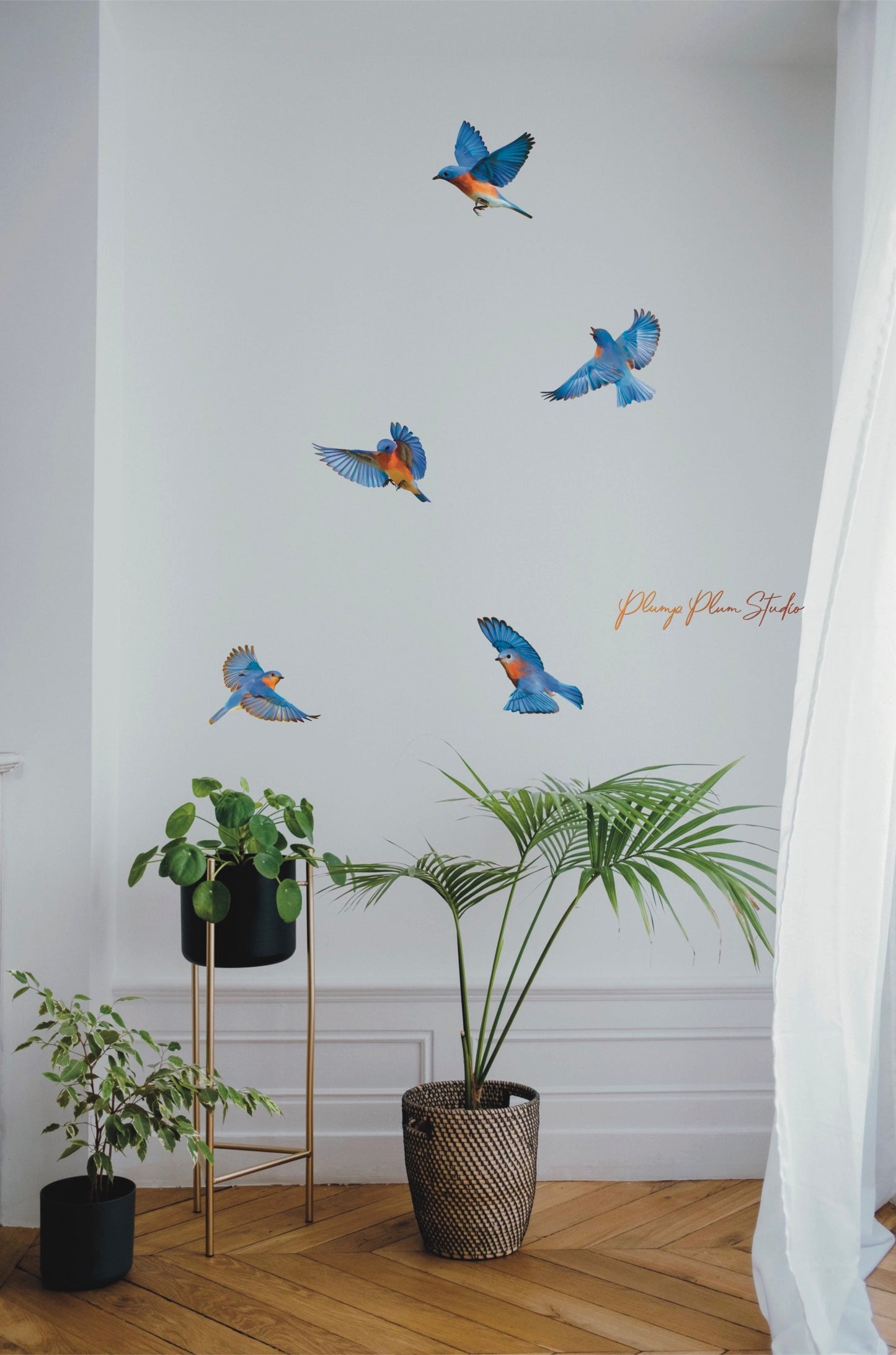 Set of Blue bird decals (bundle of 5), realistic blue bird wall stickers, indoor/outdoor repositionable luxury textured vinyl, car decals