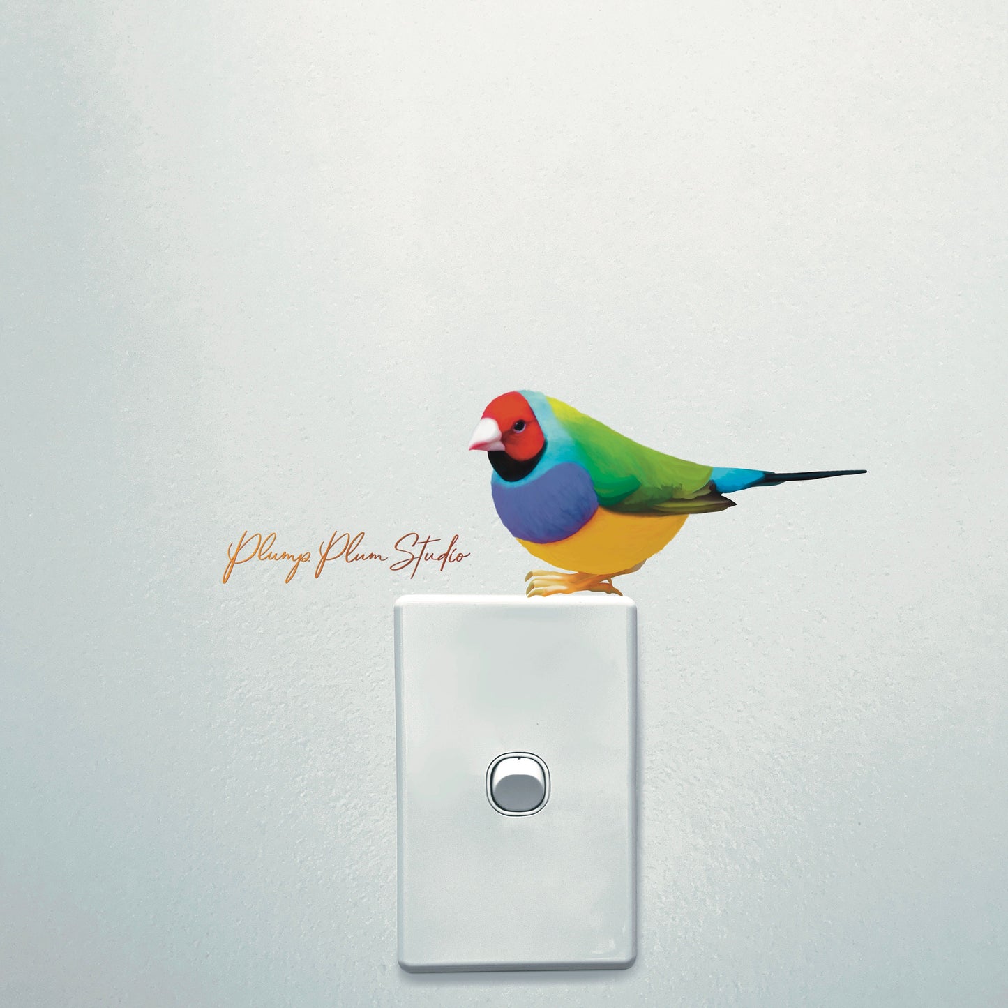 Rainbow Finch decal, Gouldian Finch sticker, outdoor/indoor, light switch decal, cute little bird, vinyl wall decal, repositionable vinyl