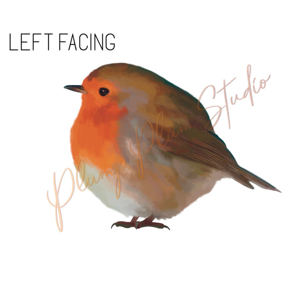 Robin Redbreast decal, European robin sticker, peel & stick, light swi ...