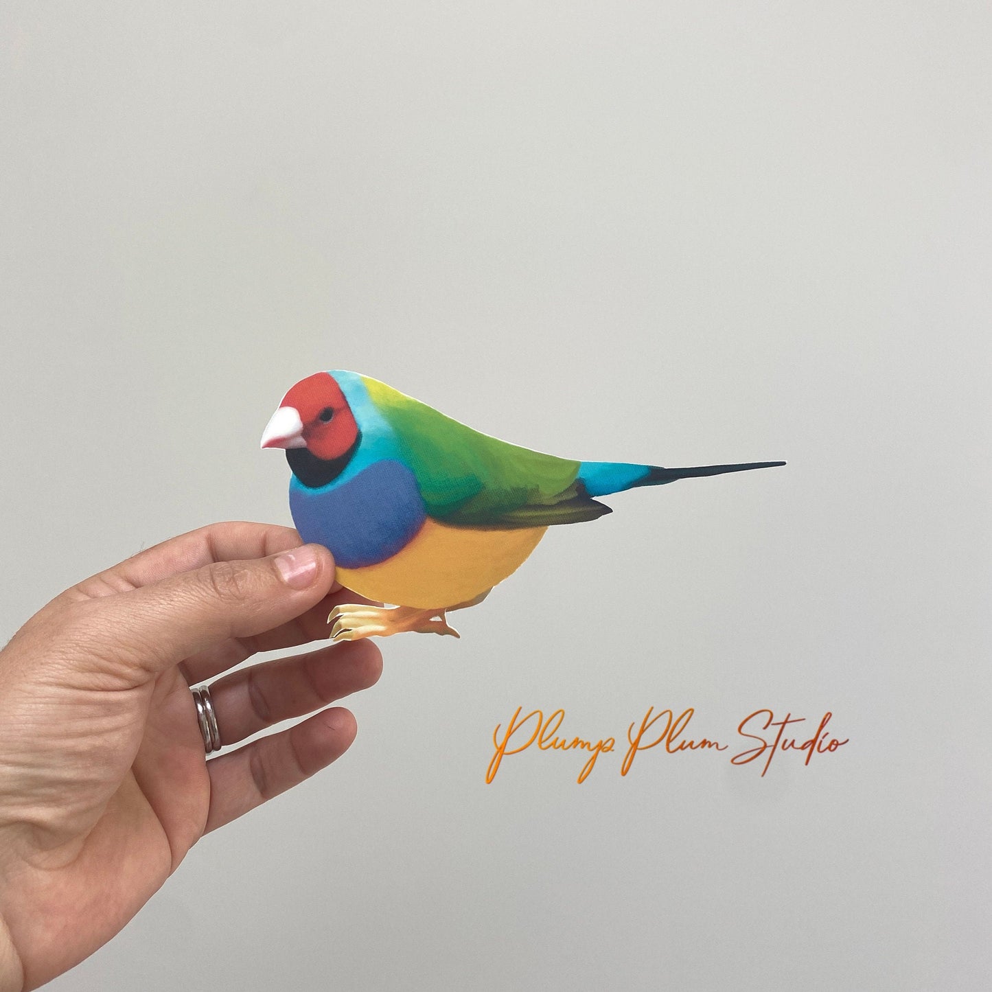 Rainbow Finch decal, Gouldian Finch sticker, outdoor/indoor, light switch decal, cute little bird, vinyl wall decal, repositionable vinyl