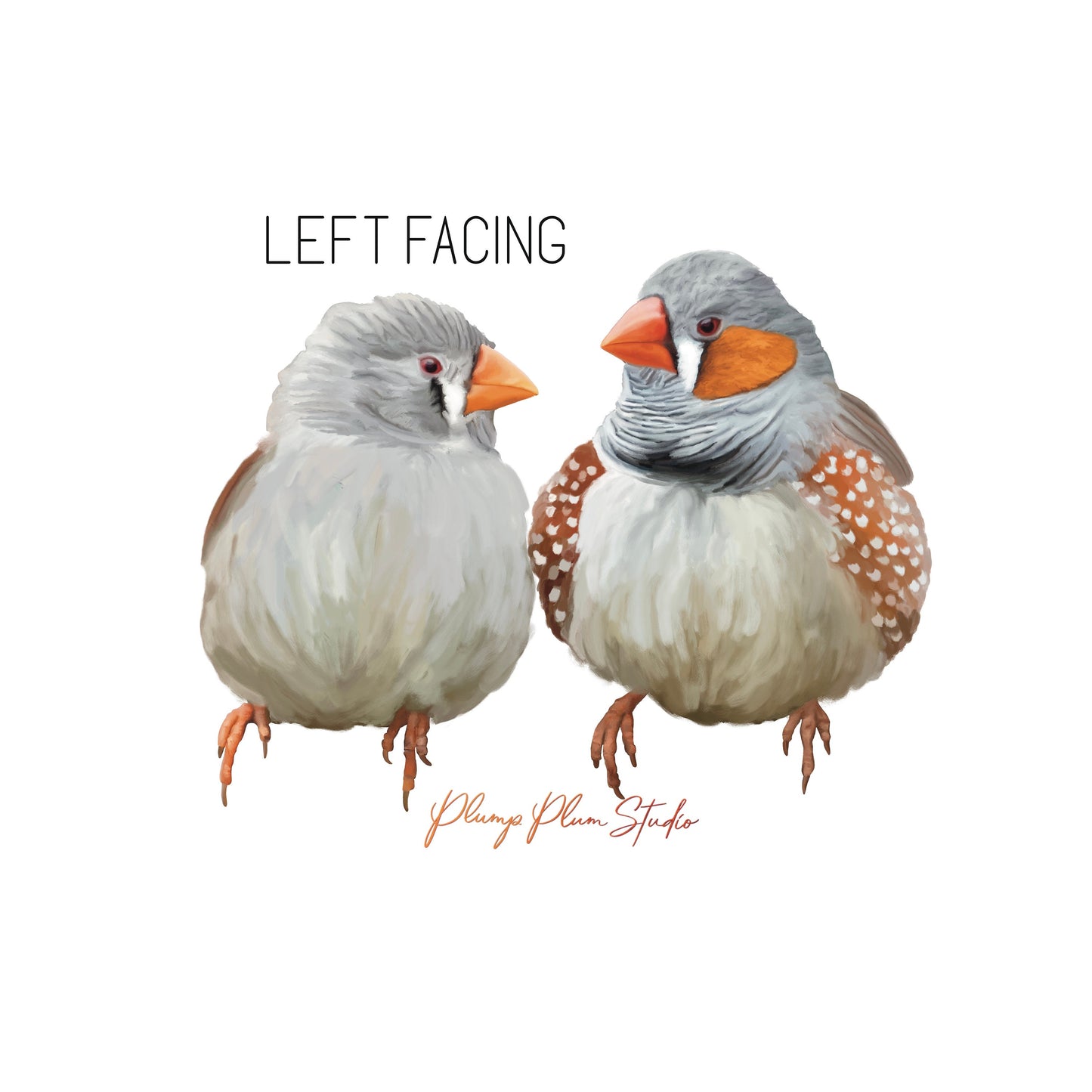 Zebra finch pair decal, Australian finches sticker, peel/stick textured vinyl light switch decal, cute little love birds, luxury vinyl decal