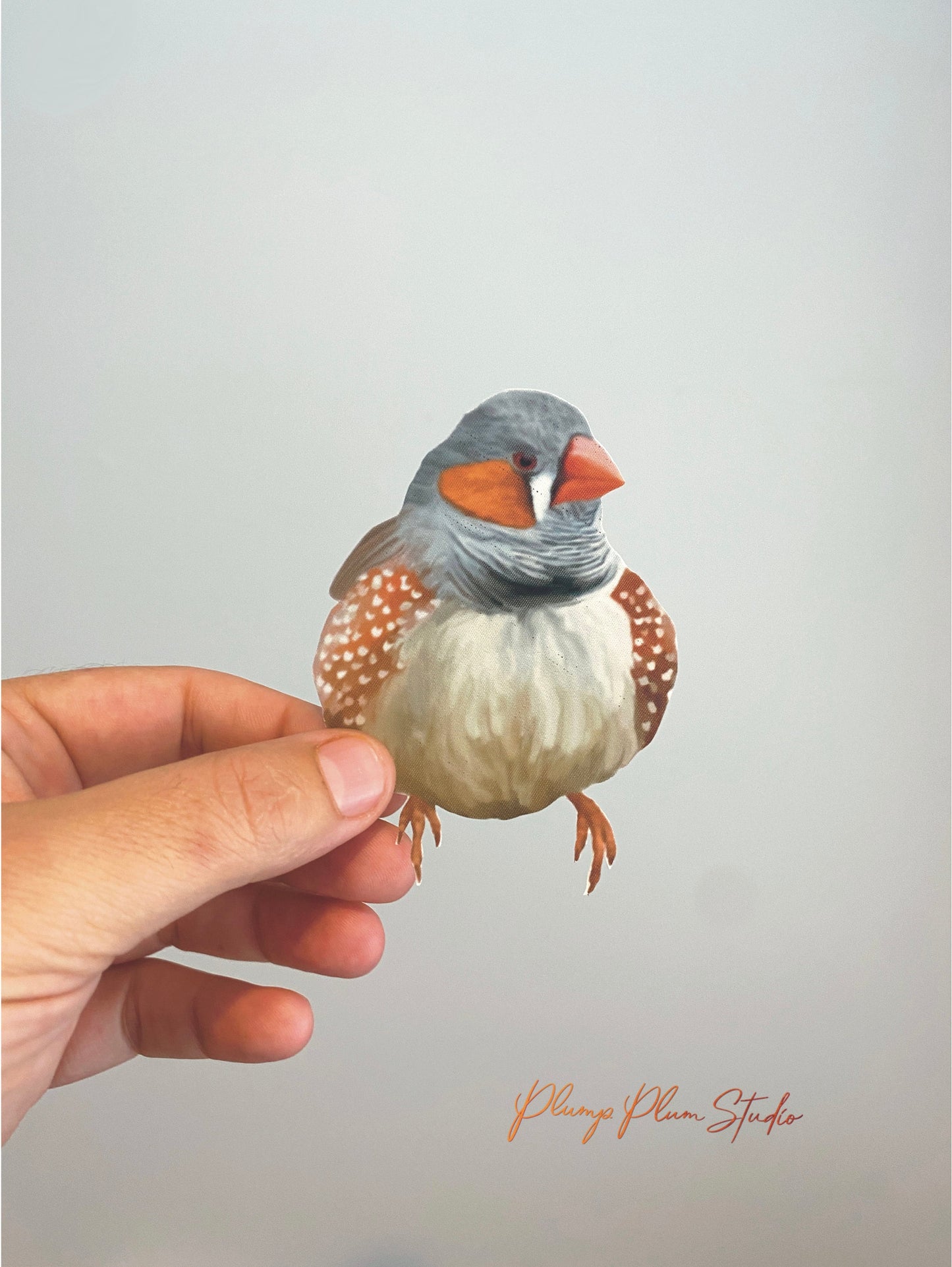 Zebra finch decal, Australian finch sticker, light switch decal, cute little fat bird decal, indoor/outdoor repositionable textured vinyl