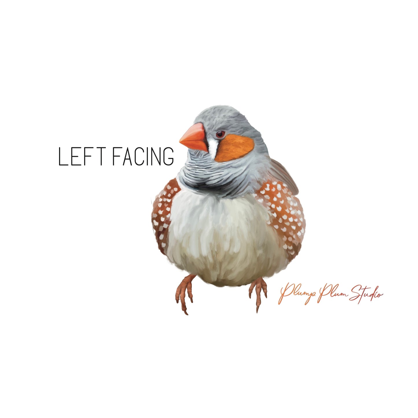 Zebra finch decal, Australian finch sticker, light switch decal, cute little fat bird decal, indoor/outdoor repositionable textured vinyl