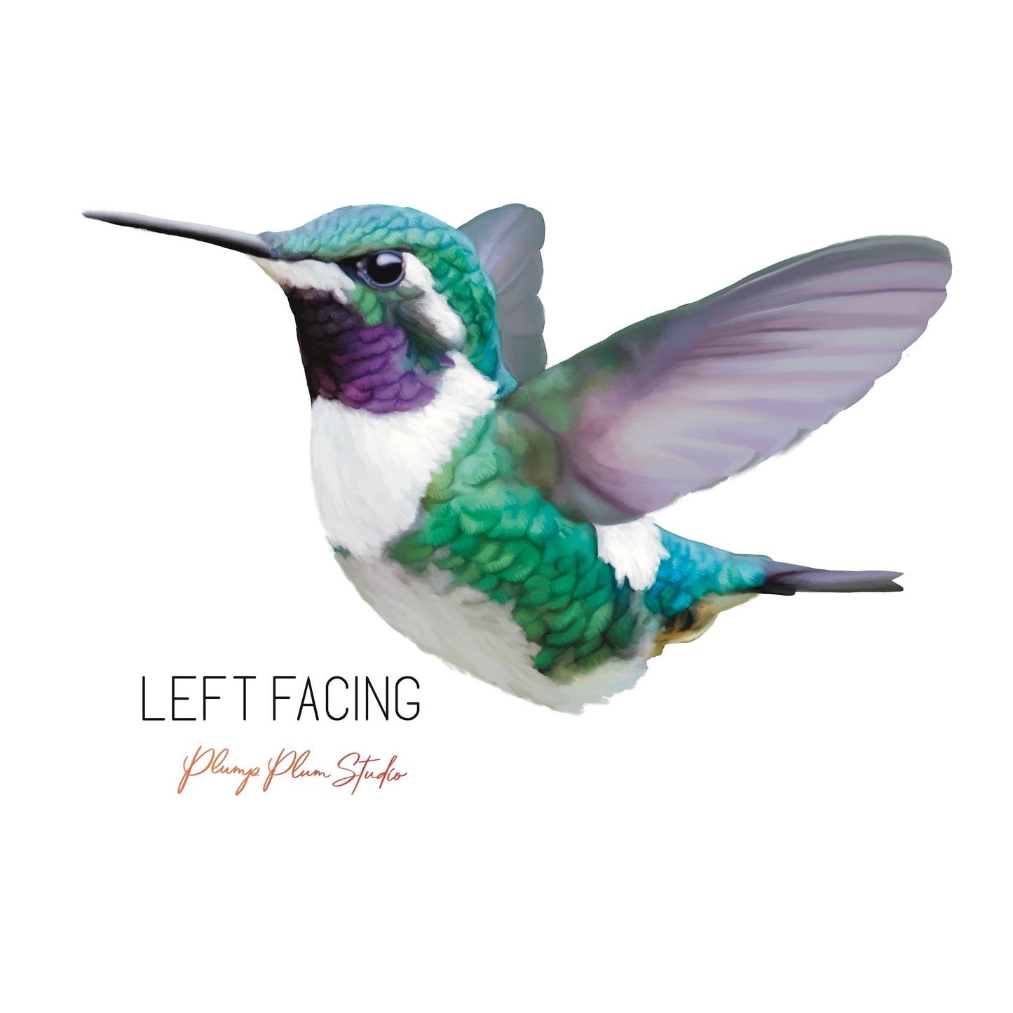 Hummingbird decal, Hummingbird sticker, peel/stick, light switch decal, realistic bird vinyl car decal, fabric texture vinyl, laptop sticker