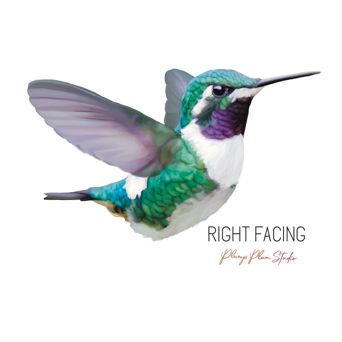 Hummingbird decal, Hummingbird sticker, peel/stick, light switch decal, realistic bird vinyl car decal, fabric texture vinyl, laptop sticker