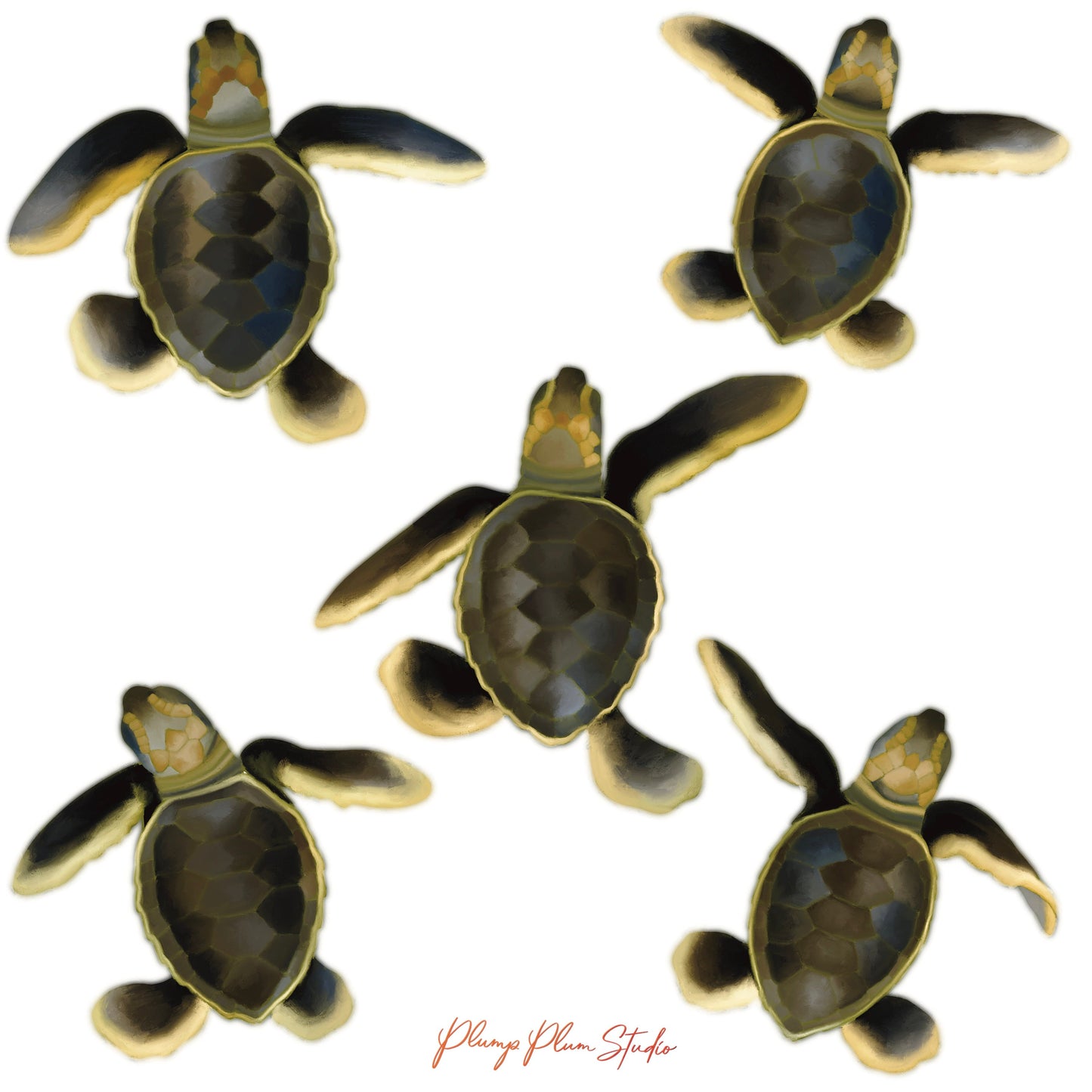 Baby sea turtle decals (bundle of 5), realistic sea turtle stickers, indoor/outdoor textured luxury vinyl decal, car decals or wall sticker