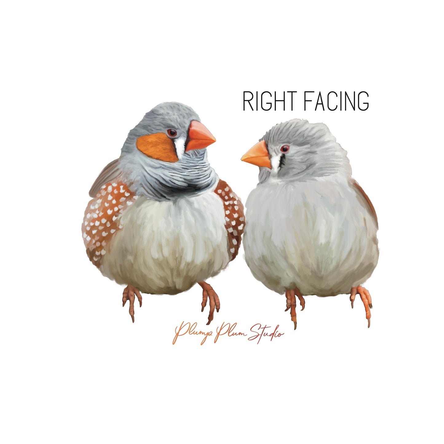 Zebra finch pair decal, Australian finches sticker, peel/stick textured vinyl light switch decal, cute little love birds, luxury vinyl decal