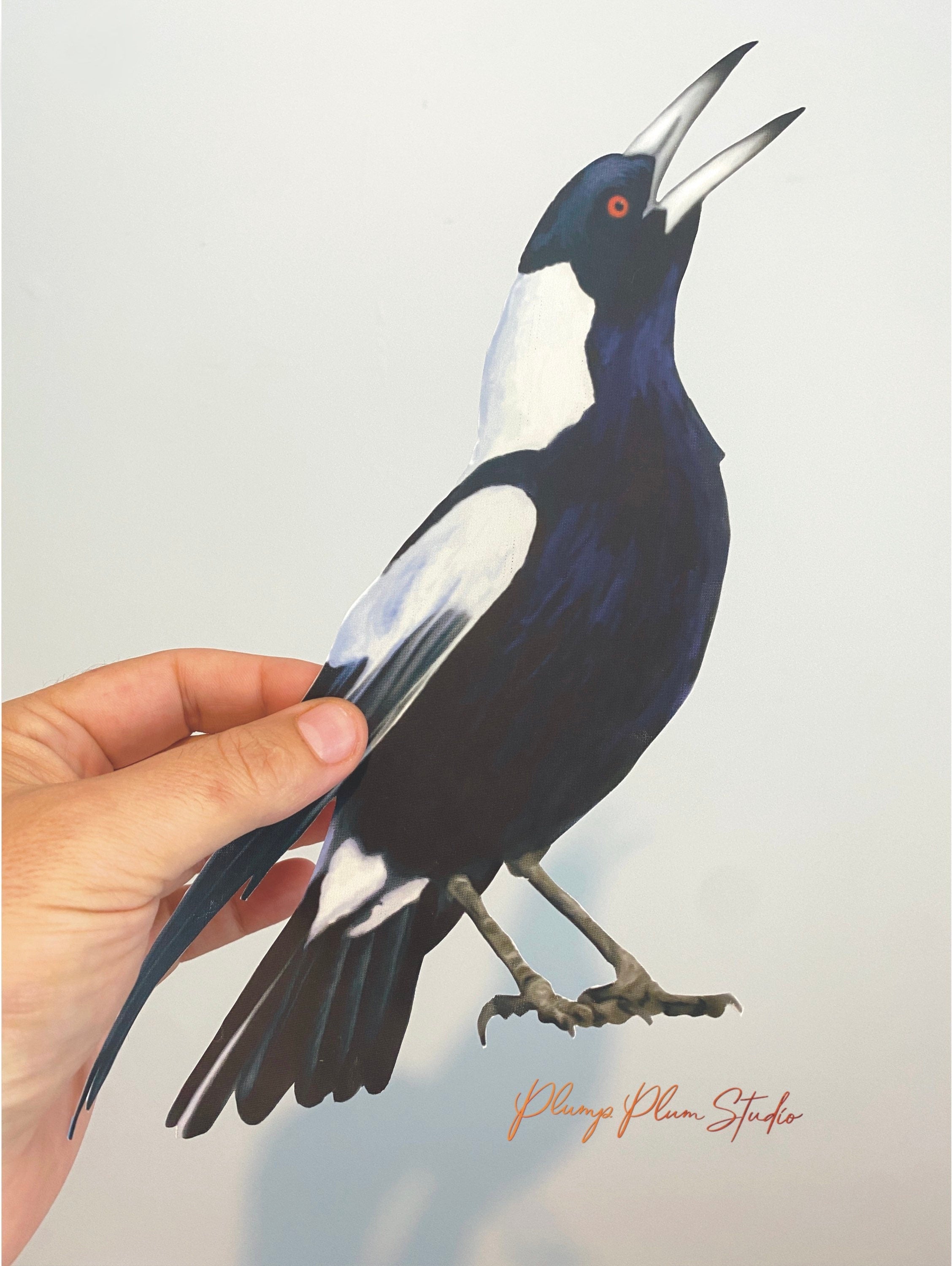 Magpie decal, Australian Magpie, Bird lover gift, black and white bird ...