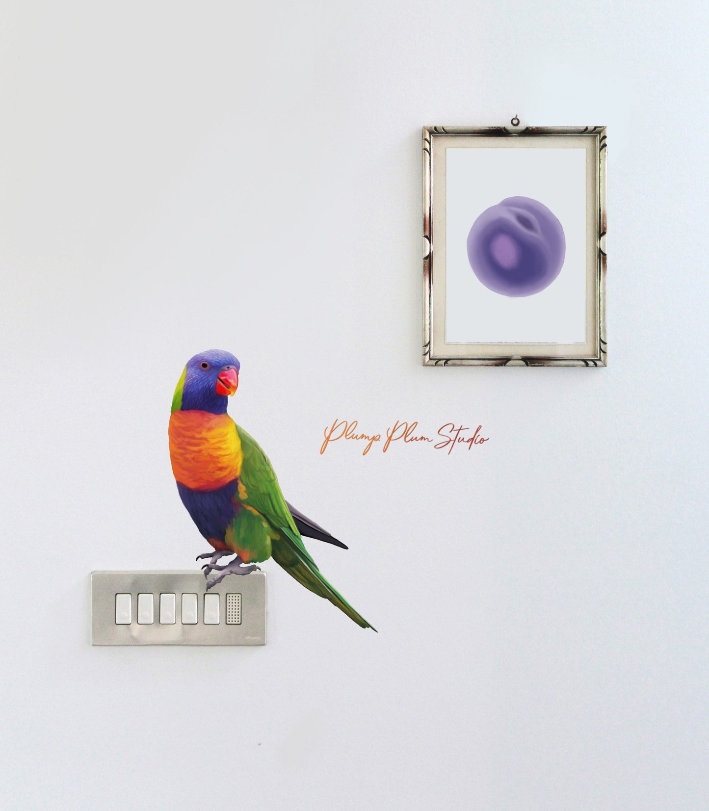 Rainbow Lorikeet decal, vinyl bird parrot decal, light switch decal, Australian bird decal, vinyl car decal, repositionable textured vinyl