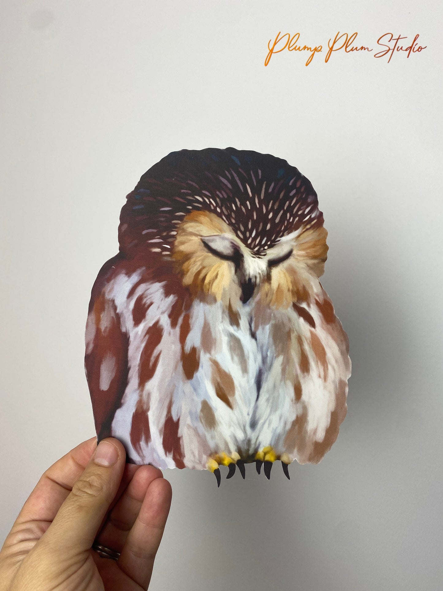 Sleeping Owl decal, Realistic owl decal, Bird lover gift, car sticker, removable bird vinyl sticker, outdoor window decal, nature lover gift