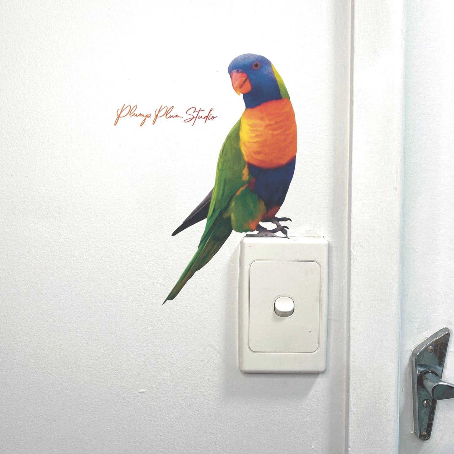 Rainbow Lorikeet decal, vinyl bird parrot decal, light switch decal, Australian bird decal, vinyl car decal, repositionable textured vinyl