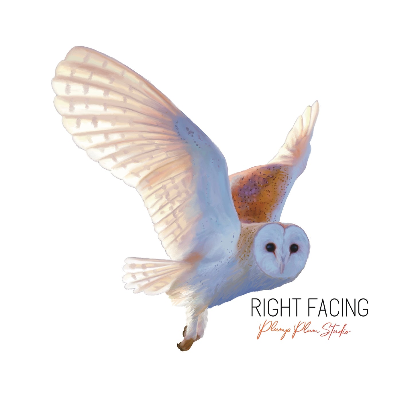 Flying Barn Owl decal, Owl sticker, Realistic owl decal, Bird lover gift, removable decal, bird vinyl sticker, light switch decal, car decal