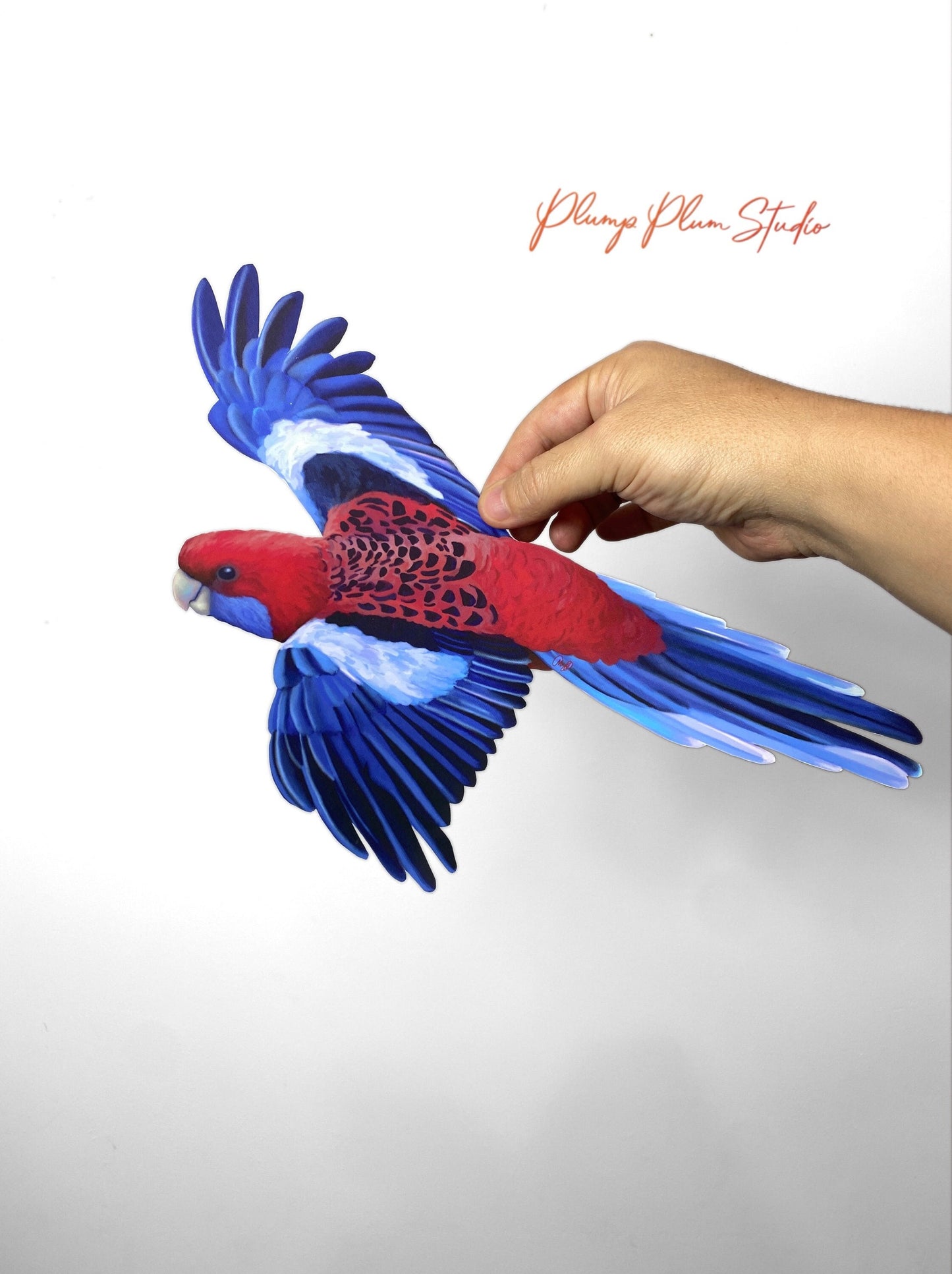 Crimson Rosella decal, flying Rosella sticker, Australian wildlife, Red & blue parrot, outdoor/indoor repositionable fabric texture vinyl