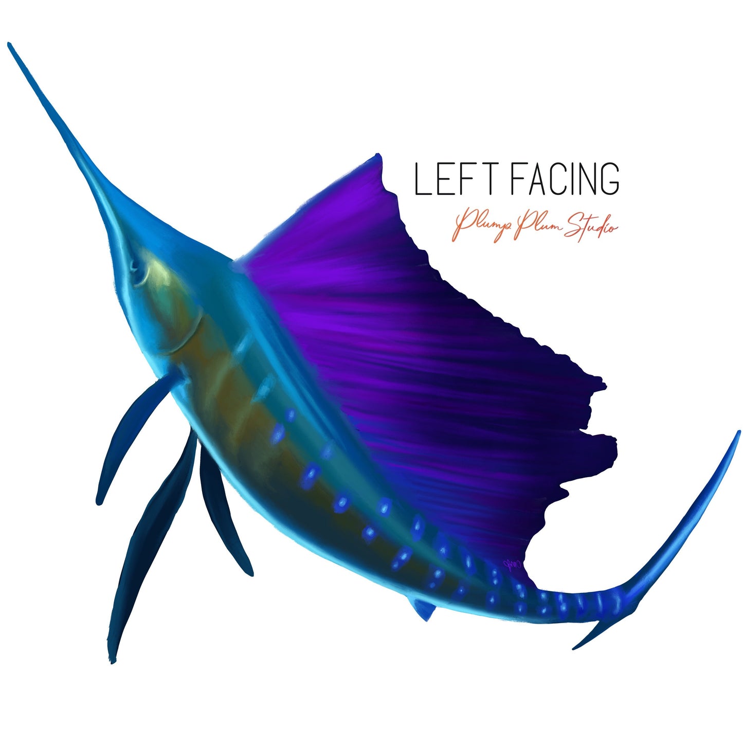 Vibrant coloured Sailfish decal, Marine Sporting fish sticker, large Sailfish vinyl sticker, indoor/outdoor peel/stick luxury vinyl decal