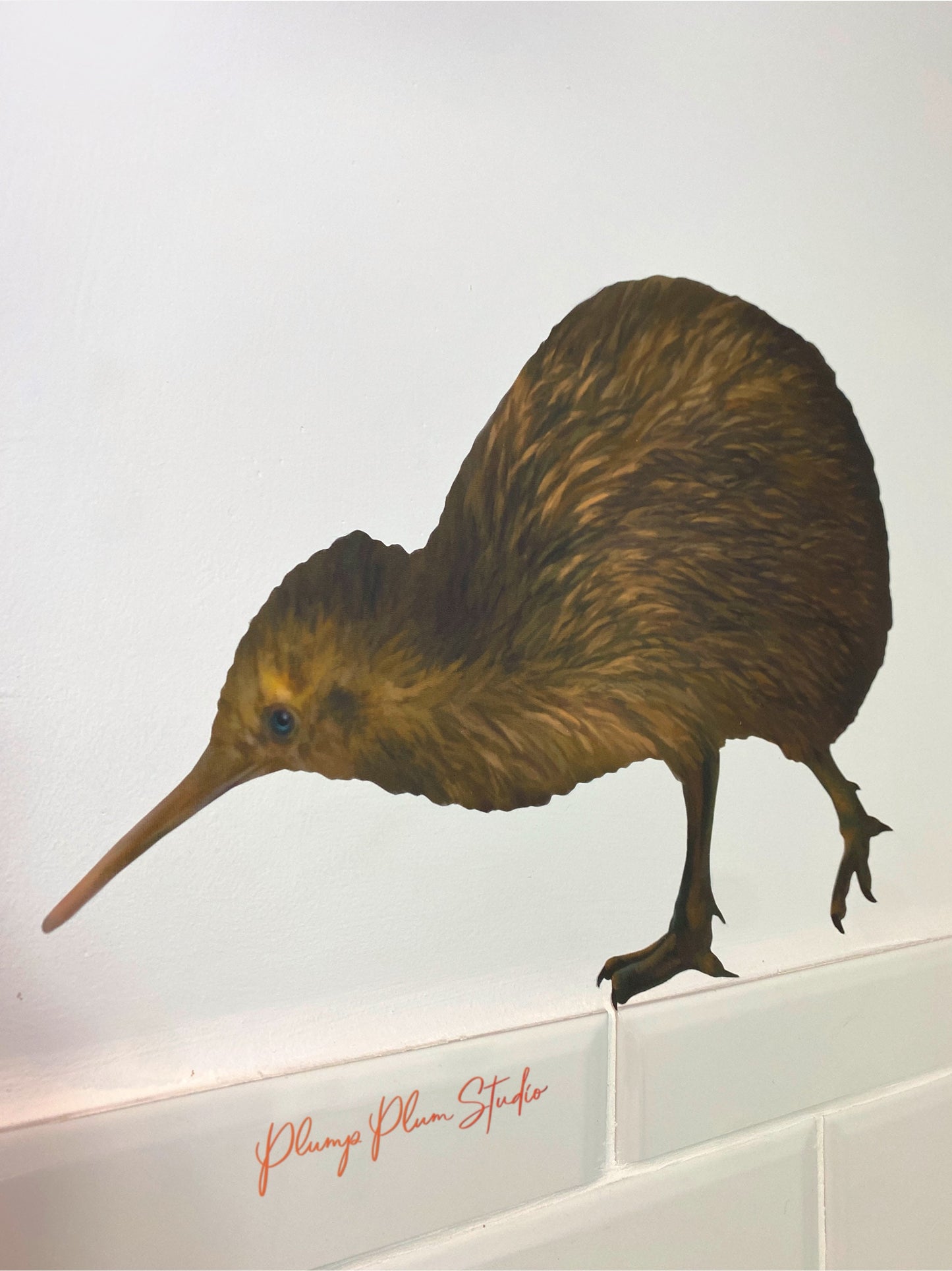 Realistic Brown Kiwi decal, New Zealand animal sticker, illustrated kiwi vinyl sticker, NZ bird sticker, fabric texture vinyl indoor/outdoor