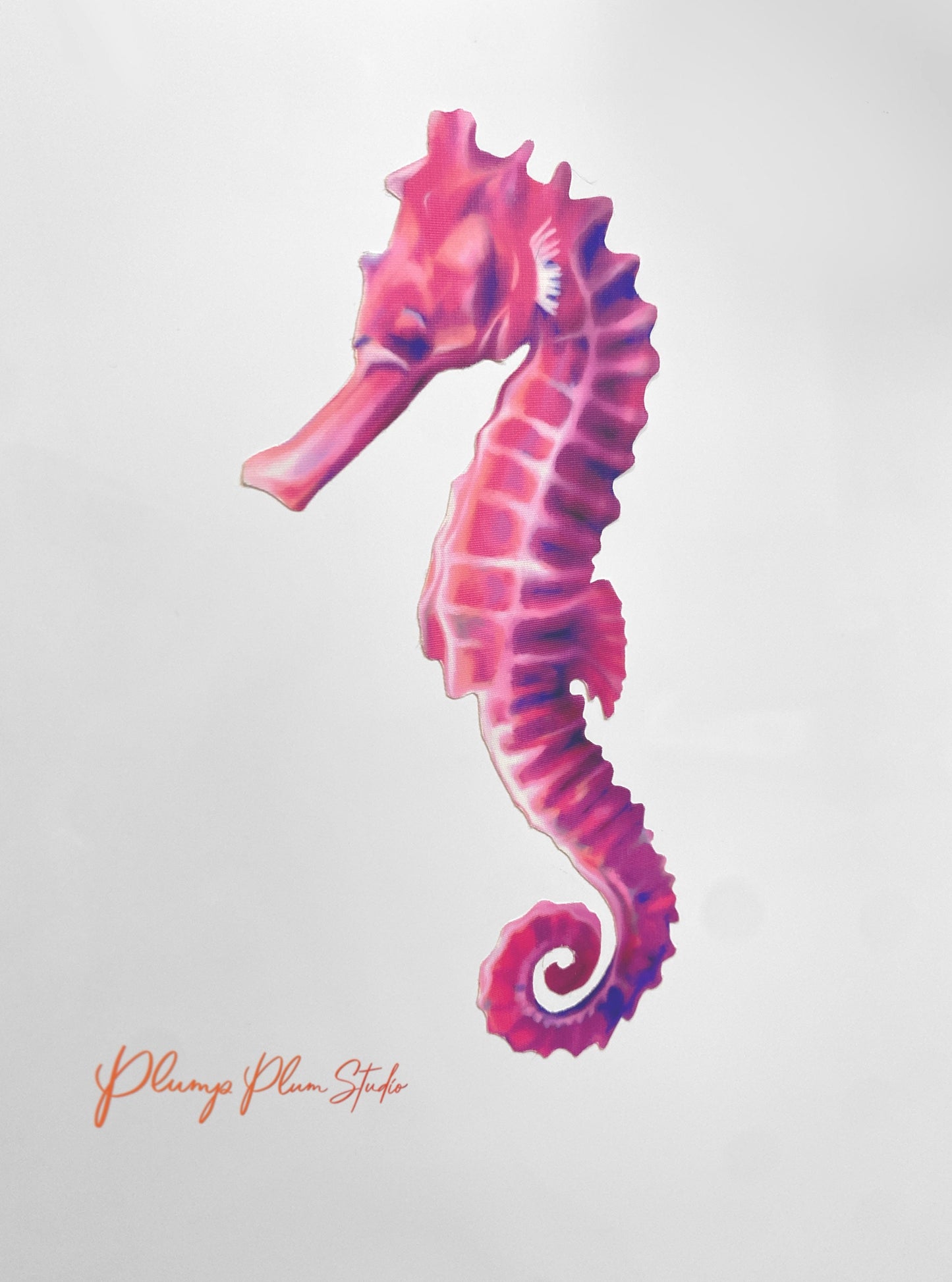 Colourful Seahorse decal, Realistic Seahorse sticker, vinyl car decal, wall decal peel/stick, luxury textured vinyl decal, indoor/outdoor