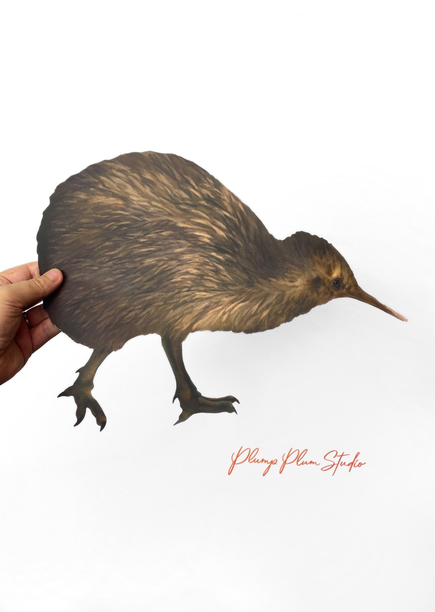 Realistic Brown Kiwi decal, New Zealand animal sticker, illustrated kiwi vinyl sticker, NZ bird sticker, fabric texture vinyl indoor/outdoor