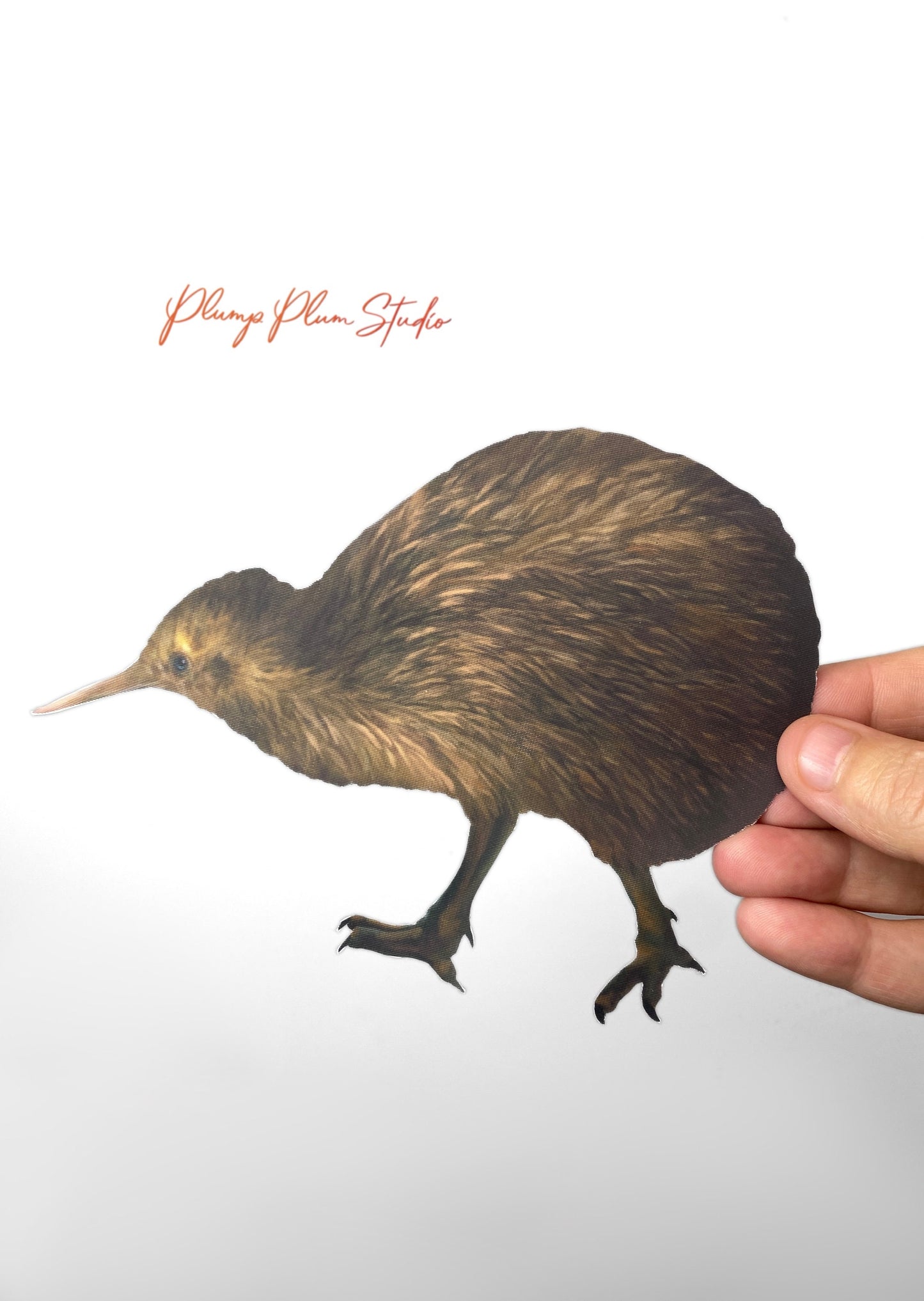 Realistic Brown Kiwi decal, New Zealand animal sticker, illustrated kiwi vinyl sticker, NZ bird sticker, fabric texture vinyl indoor/outdoor