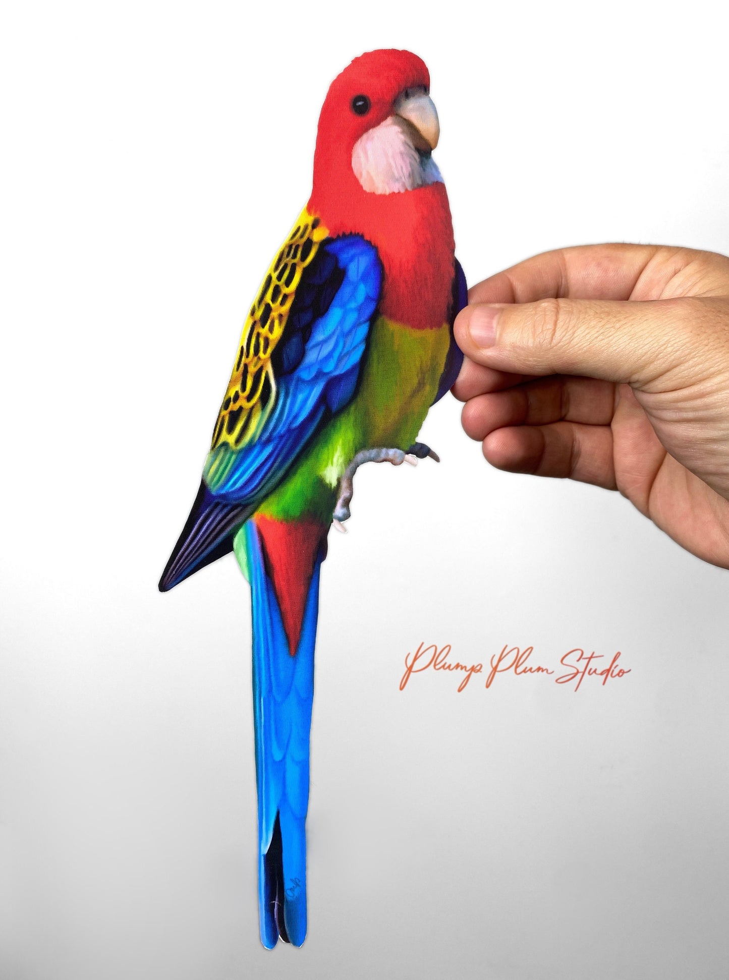 Eastern Rosella decal, Colourful bird sticker, light switch decal, Australian parrot decal, vinyl wall decal, indoor/outdoor vinyl decal