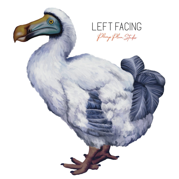 Dodo Sticker Fat Fluffy Dodo decal, Dodo bird sticker, light switch decal, Extinct ...