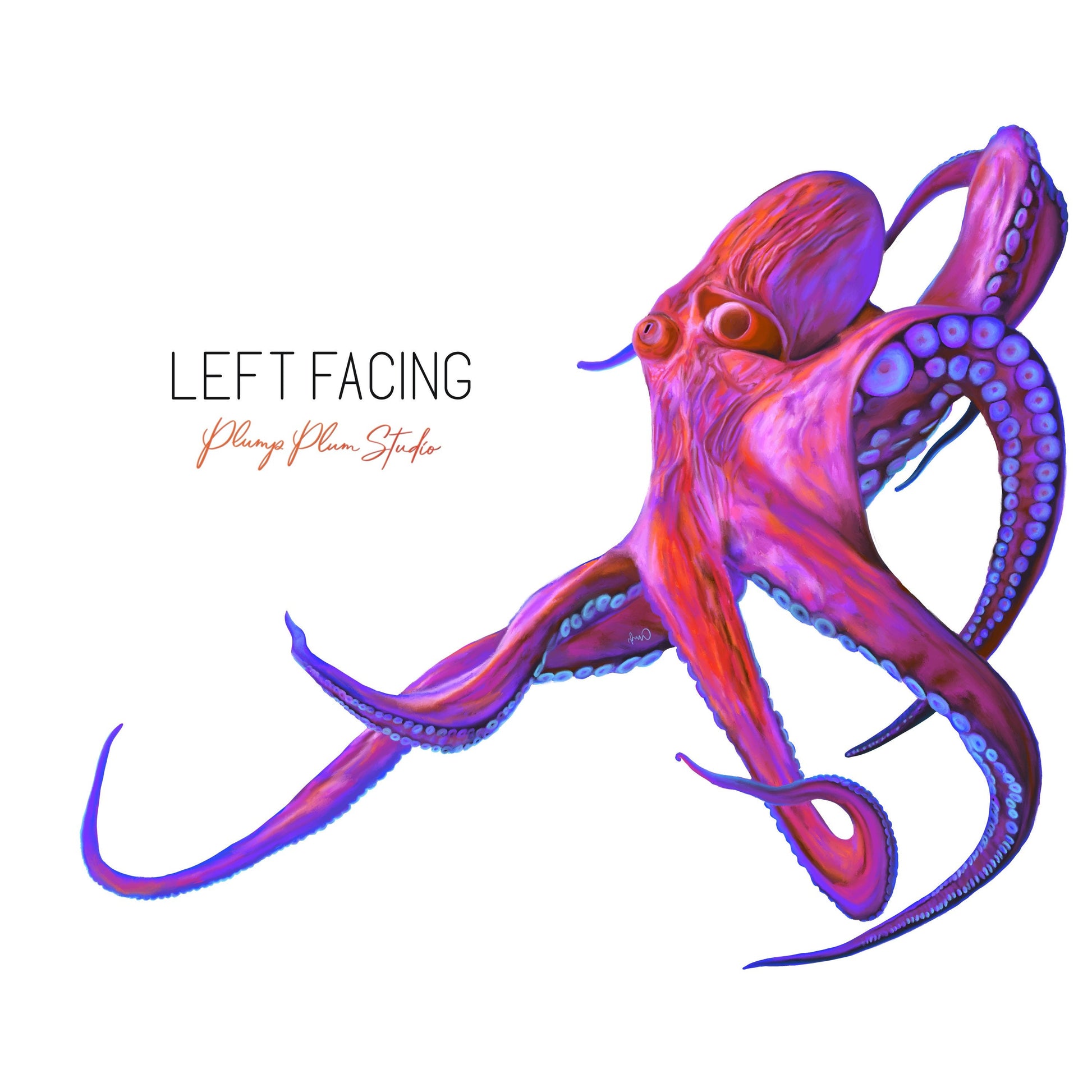 Colourful Octopus decal, Reusable Realistic Octopus sticker, Pink