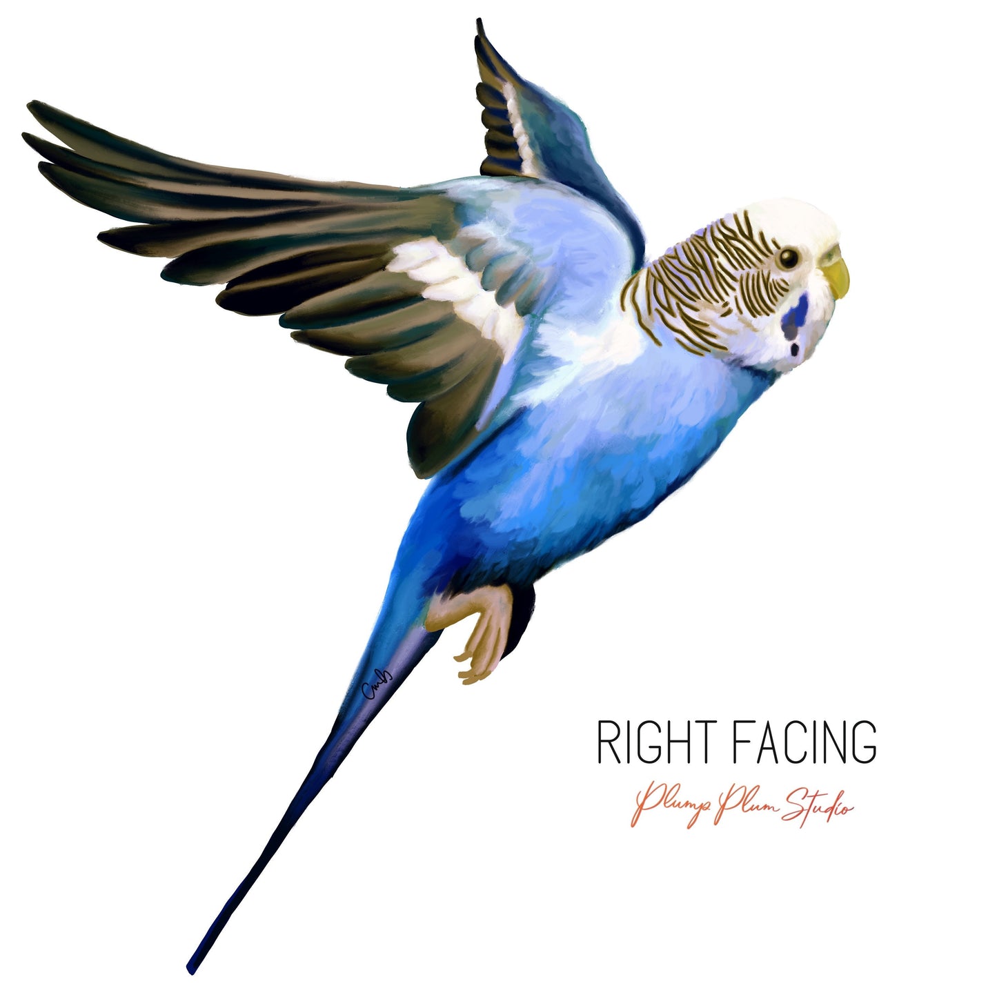 Flying Blue Budgie decal, Australian blue/white budgie sticker, light switch decal, cute bird, textured vinyl car decal, indoor/outdoor