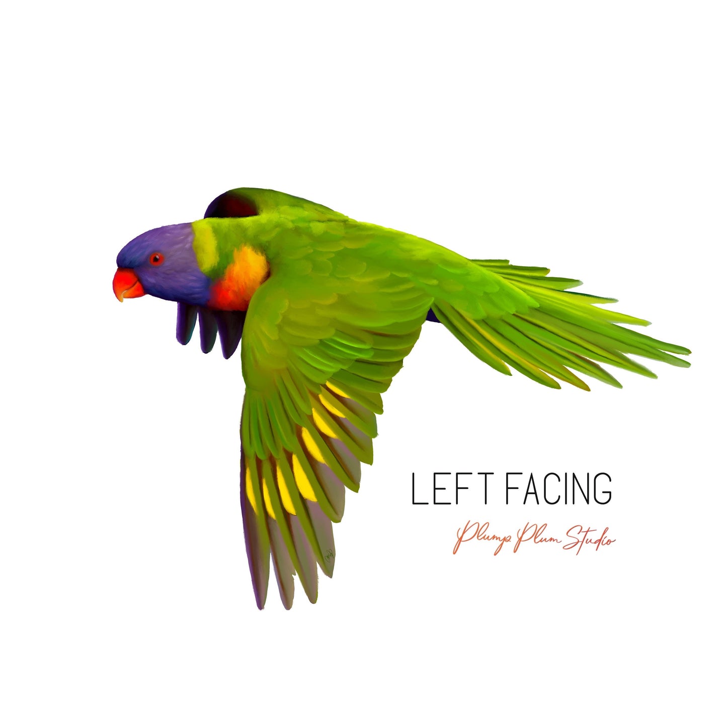 Flying Rainbow Lorikeet vinyl decal, light switch decal, car decal, Australian parrot decal, fabric textured vinyl, lorikeet parrot sticker