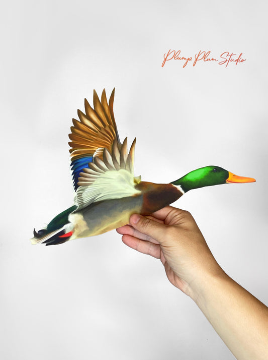 Mallard Drake decal, colourful realistic flying duck sticker, wild duck, fabric texture vinyl, bird lover gift, outdoor/indoor vinyl