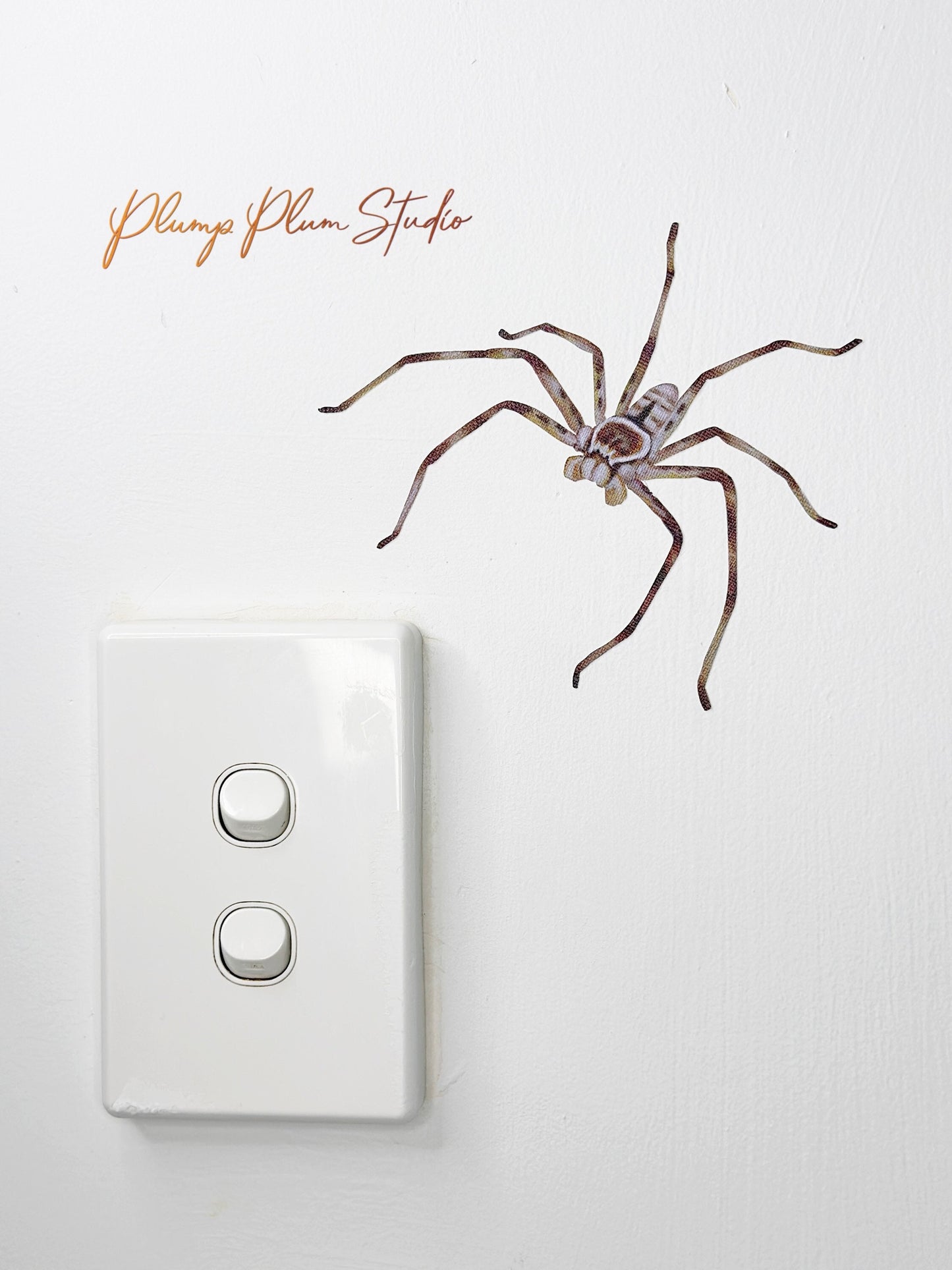 Australian Huntsman Spider decal, Huntsman spider sticker, illustrated spider, creepy spider, nature lover gift, light switch, fabric decal