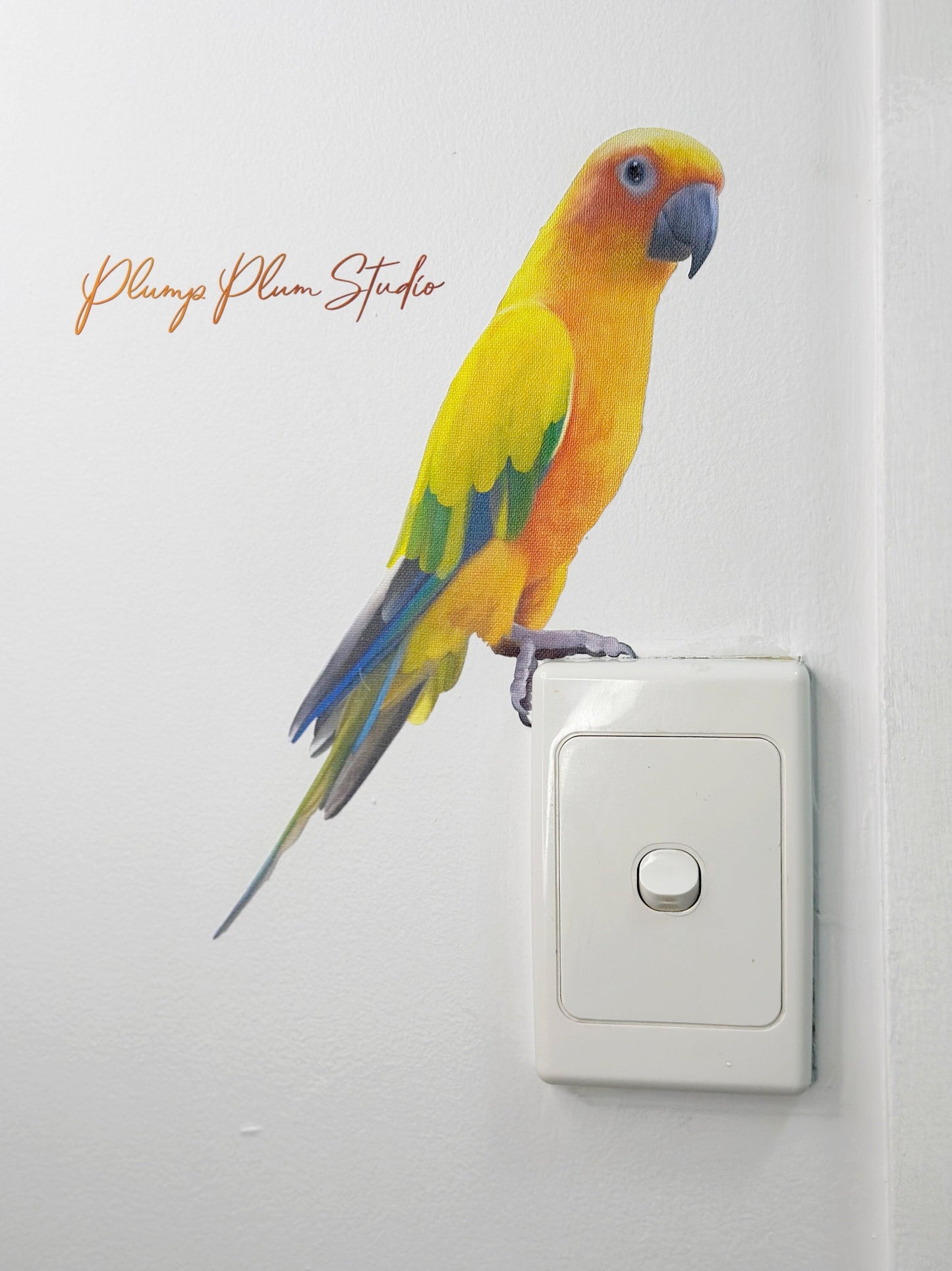 Bright Sun Conure Bird decal, bird wall sticker, light switch decal, Sun Parakeet decal, fabric textured wall decal, outdoor/indoor vinyl