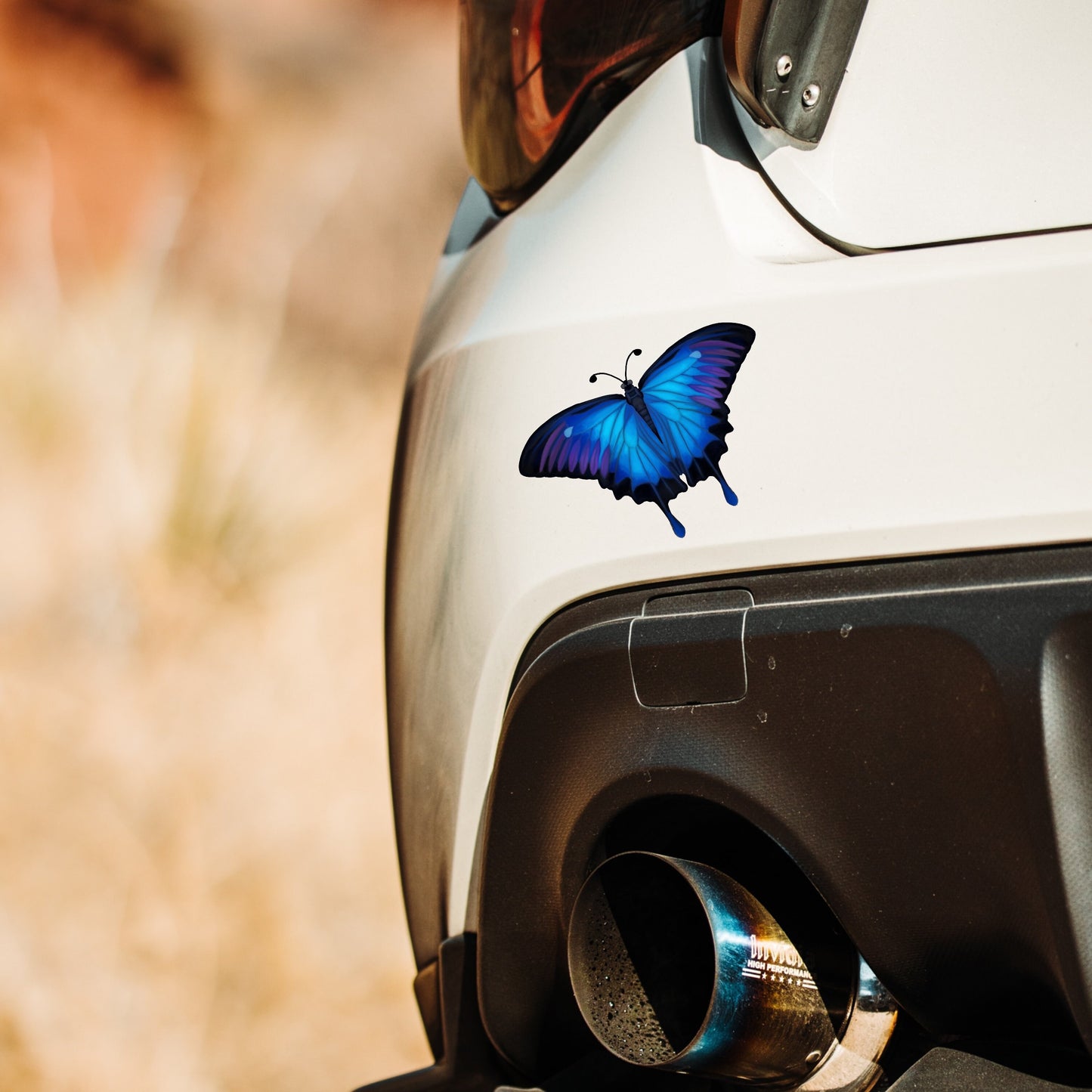 Ulysses Butterfly decal, Butterfly sticker, illustrated blue butterfly, wall/car vinyl butterfly decal, nature lover gift, fabric textured