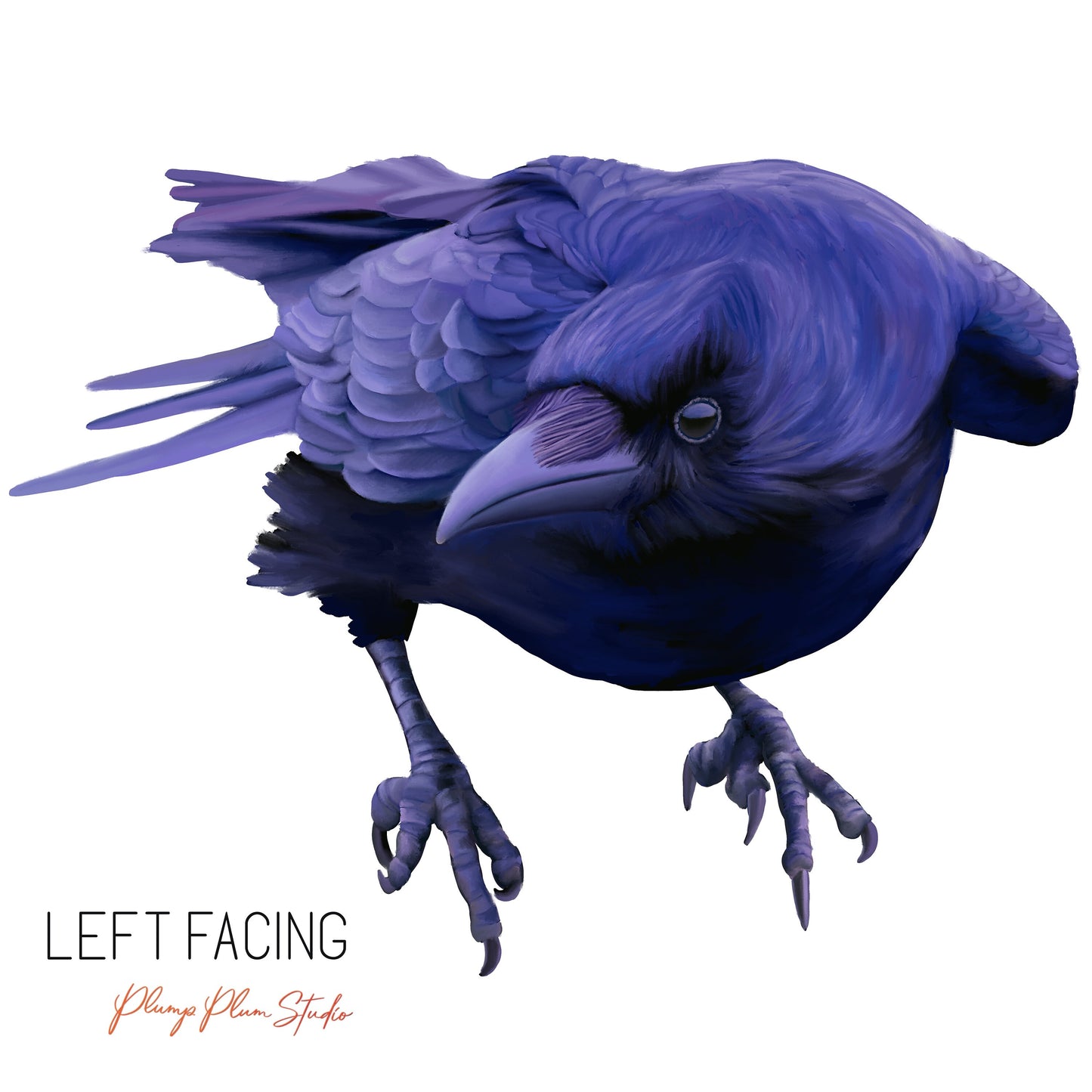 left facing raven decal/sticker