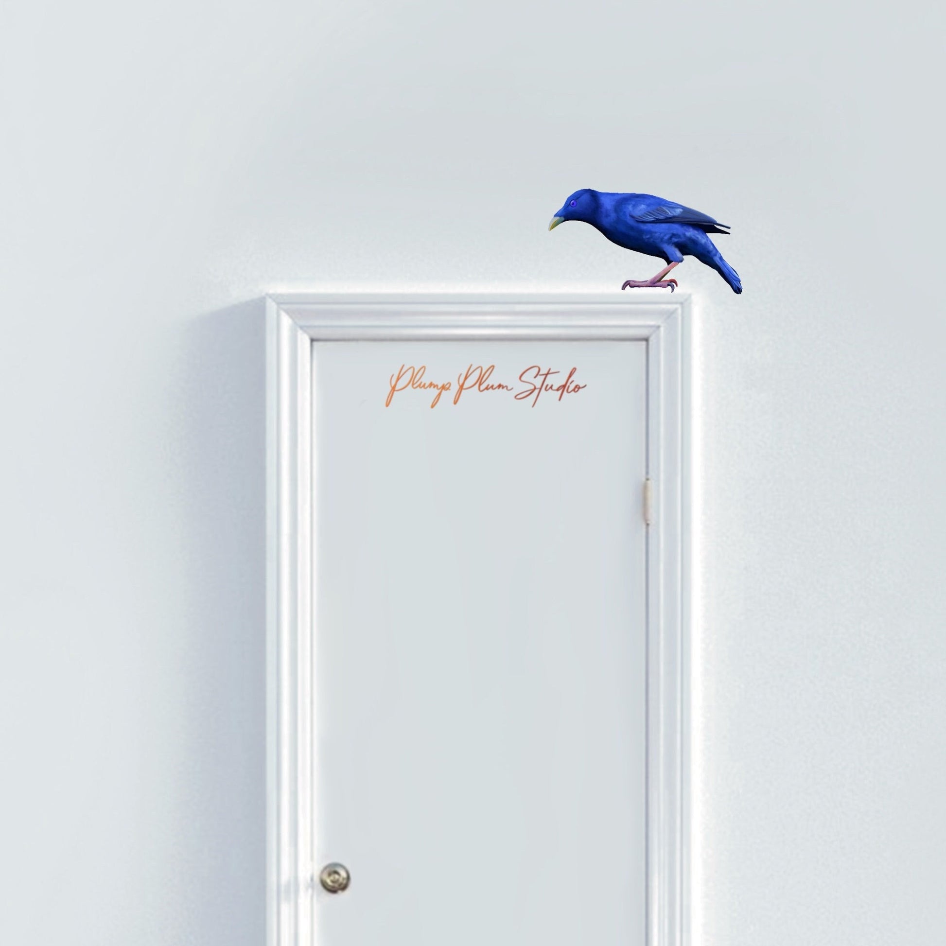 Life-size Satin Bowerbird sticker perched above a door frame, showcasing a seamless painted-on look on a neutral wall.