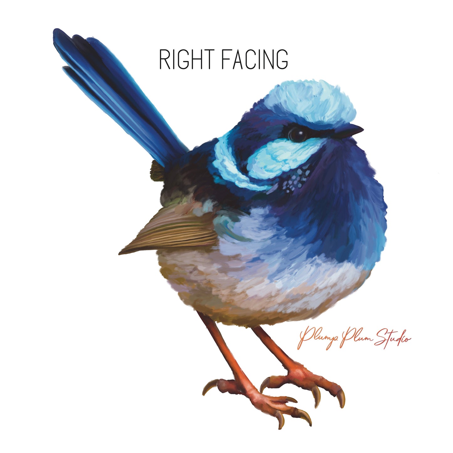 right facing superb blue fairy wren weatherproof textured decal
